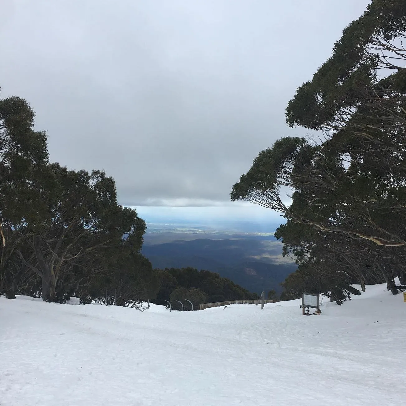 Mount Baw Baw Alpine Resort