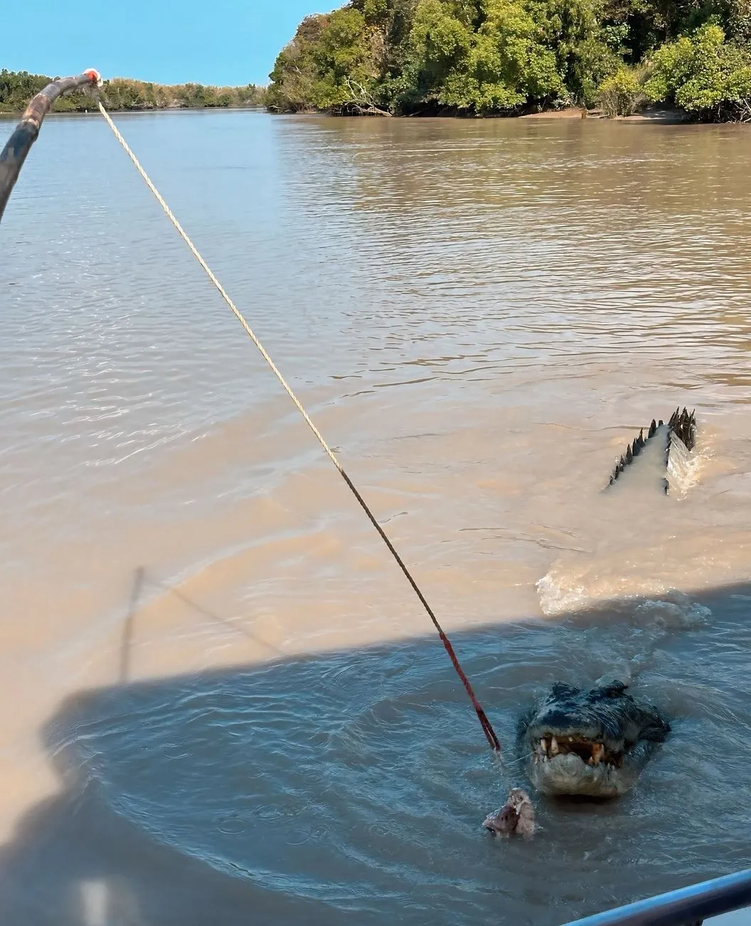 George Hotel Edinburgh | Is the Jumping Crocodile Cruise Wheelchair Accessible? NT Wildlife Cruises Compared