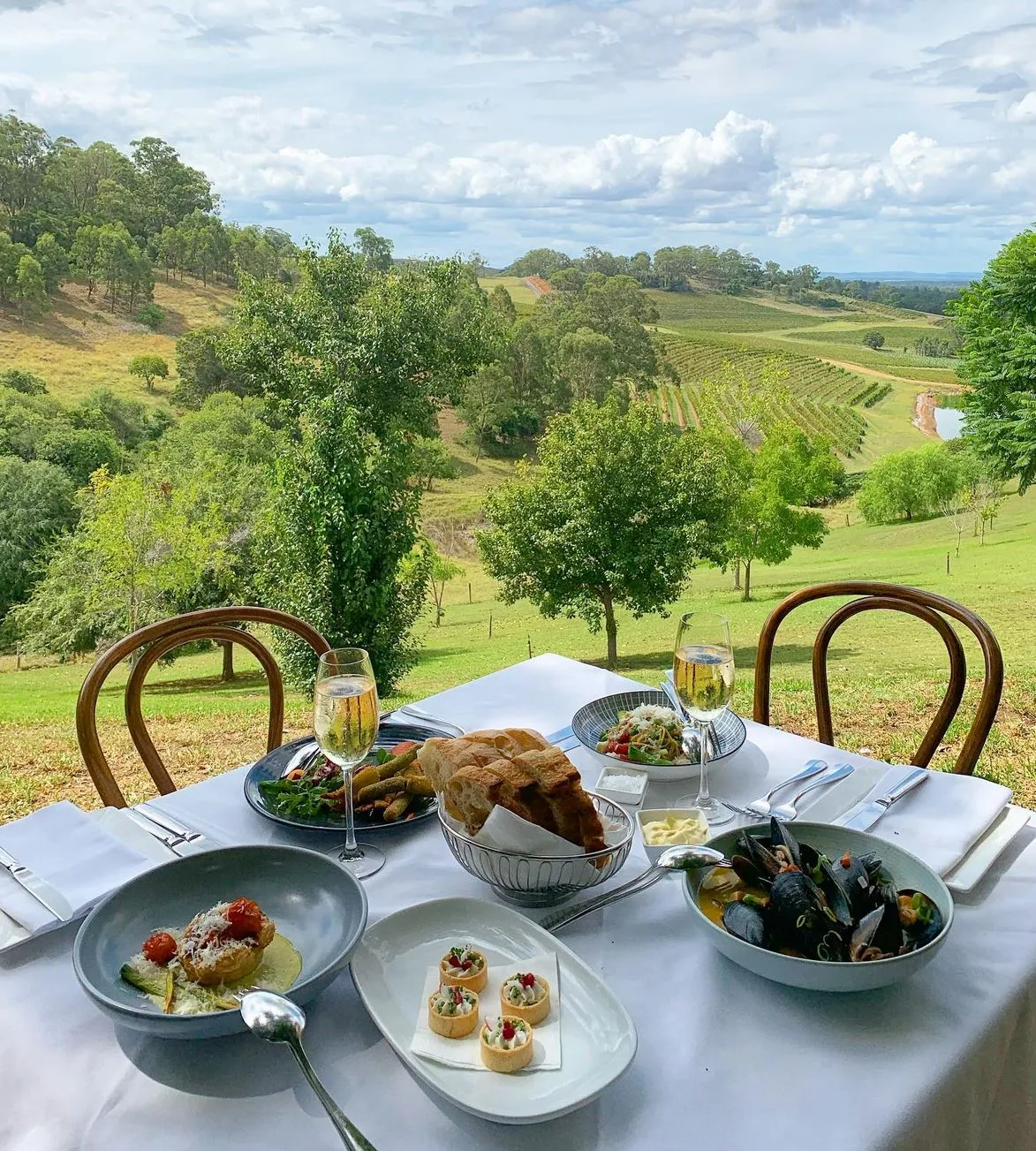 Wine and Vineyards, Hunter Valley