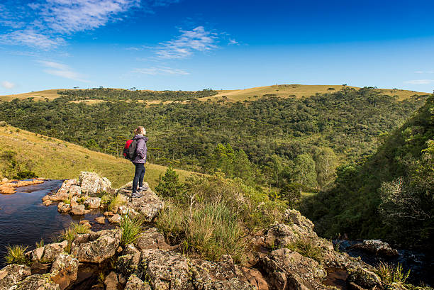 Explore the Wonders of Litchfield: An Immersive Journey Through the Heart of Australia's Wilderness