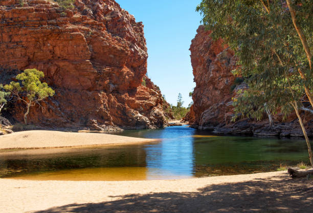 Outings from Alice Springs