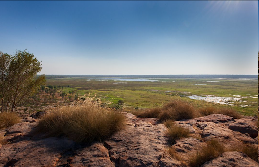 Two-Day Kakadu Tours from Darwin: Immerse Yourself in Northern Territory's Natural Splendor